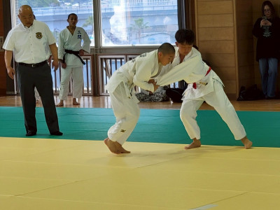 柔道 (2)