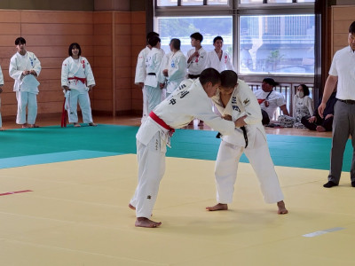 柔道 (15)