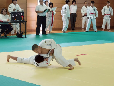 柔道 (17)