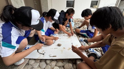 ７月２日午後 (6)