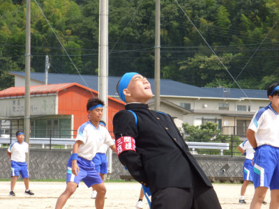 青ブロック (5)