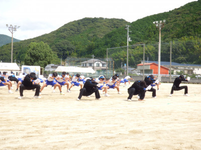 青ブロック (10)