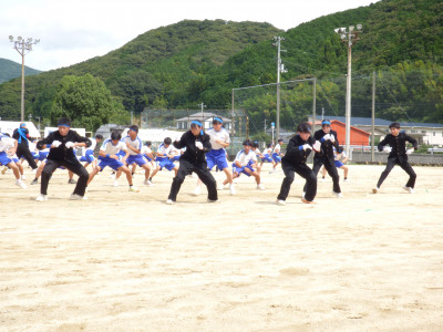 青ブロック (11)