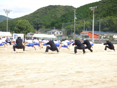 青ブロック (12)