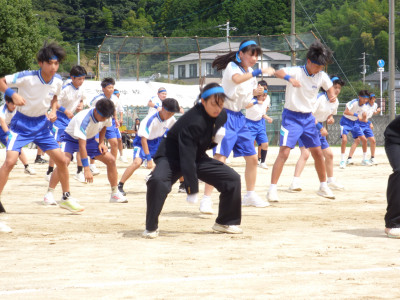 青ブロック (13)