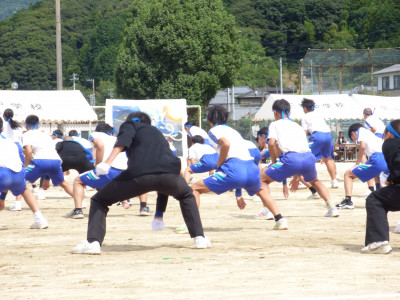 青ブロック (14)