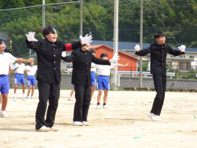 青ブロック (16)