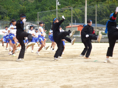 青ブロック (21)
