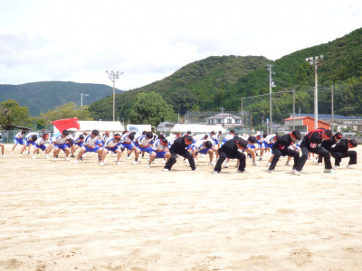 赤ブロック (27)