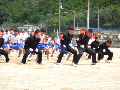 赤ブロック (26)