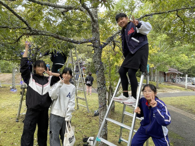 イルミネーション取付 (1)