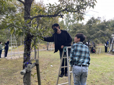 イルミネーション取付 (4)