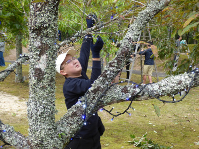 イルミネーション取付 (8)