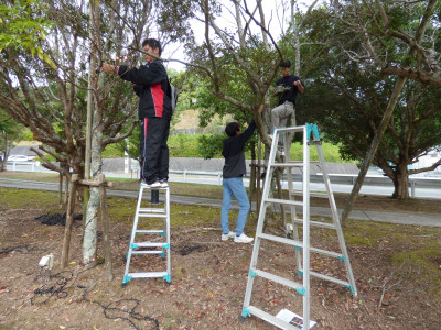 イルミネーション取付 (12)