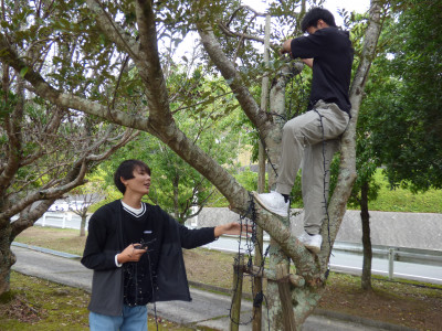 イルミネーション取付 (13)
