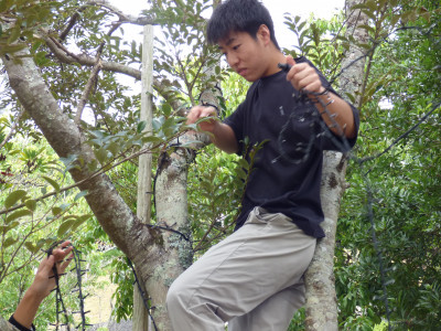 イルミネーション取付 (14)