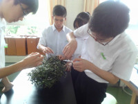 IMG_20260615_133605