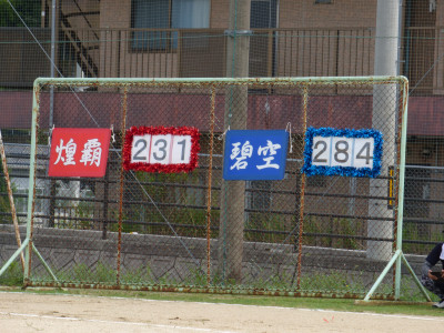 7 (36)