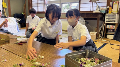 ドライフラワー (8)