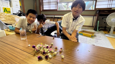 ドライフラワー (10)