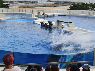 ③ (25)