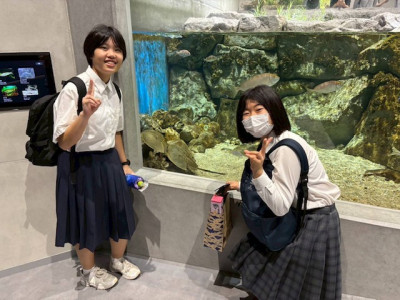 ③ (33)