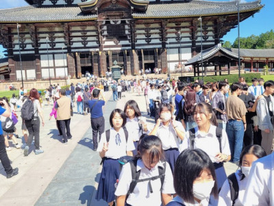 ② (12)