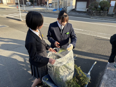 １月14日門松片付け (4)