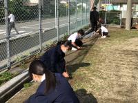 道路沿いフェンス付近の草引き